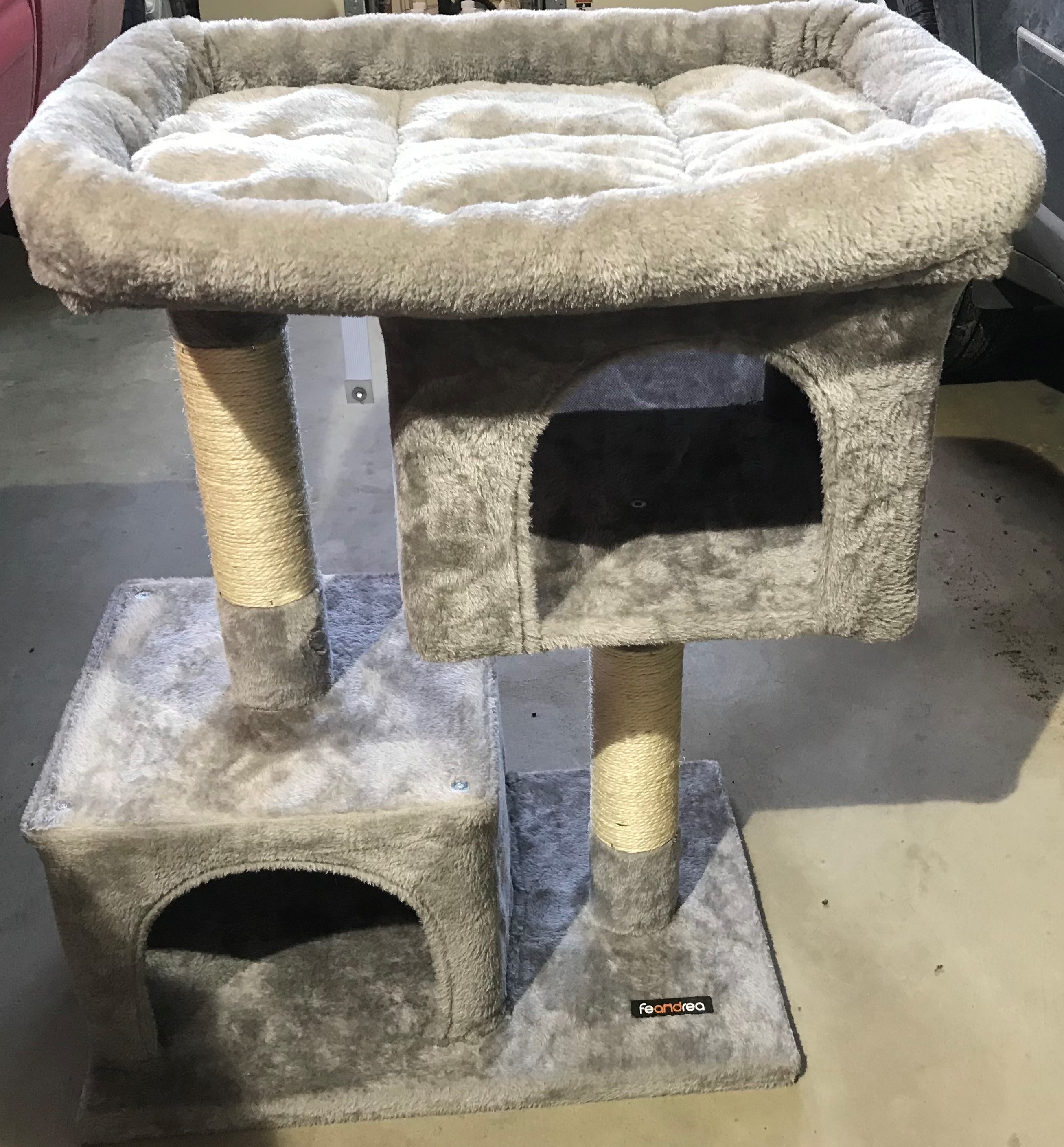 catcondo